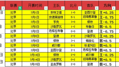 澳网赛事评论：张之臻精彩亮相，拼搏进取